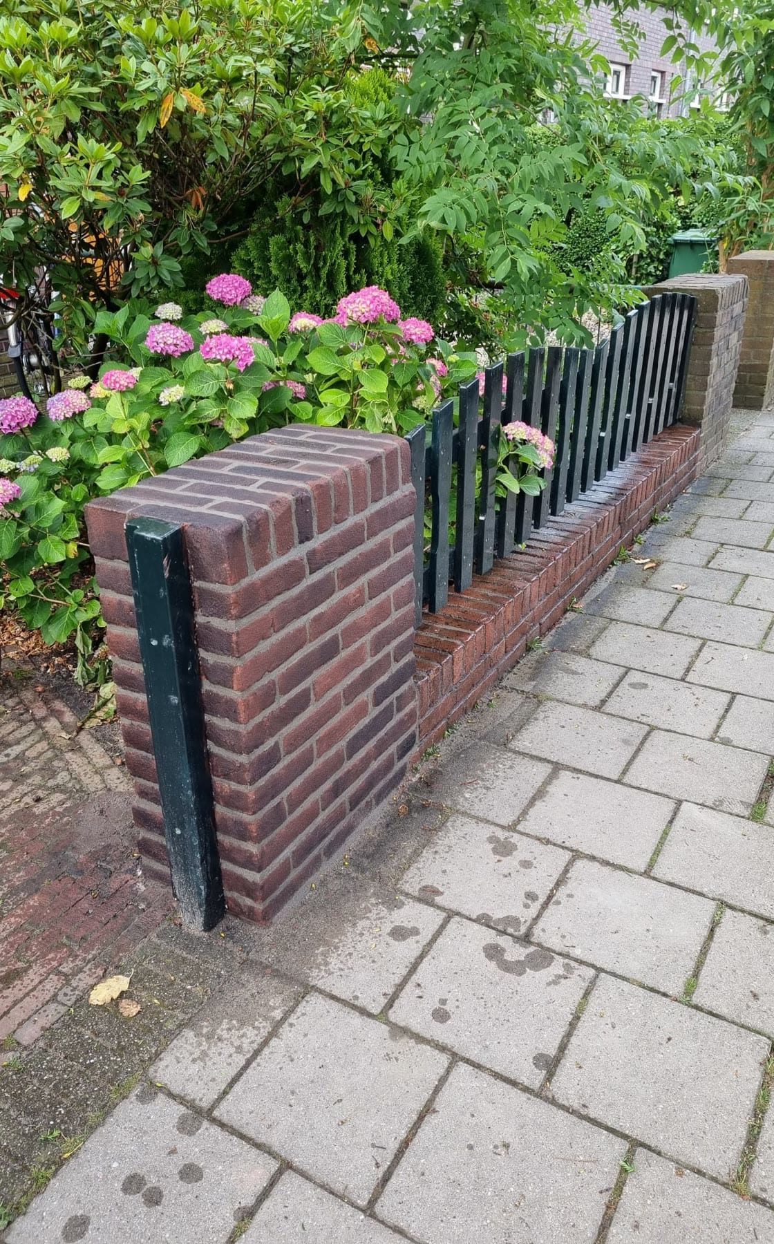 Een gemetseld tuinmuurtje langs de stoep: vooraan een penant, dan een laag muurtje met een rollaag en een groen hekje, achteraan een tweede penant; erachter roze hortensia's